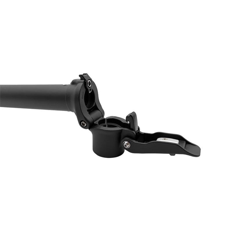 Original Niu KQi2 Pro Mast