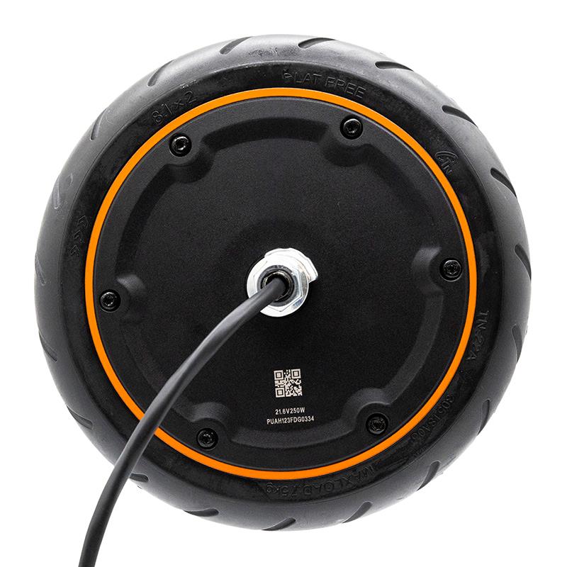 Motor 21.6V 250W Xiaomi Mi 4GO Original