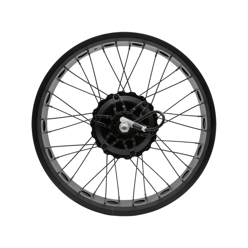 Motor trasero 20x4,0 250w-80 Nm GRANIT