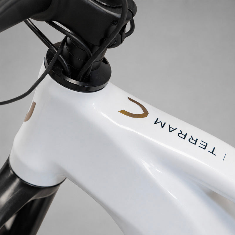 TERRAM ebike MTB Gris/Blanco