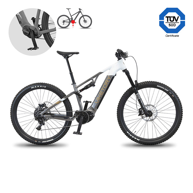 TERRAM ebike MTB Grigio/Bianco
