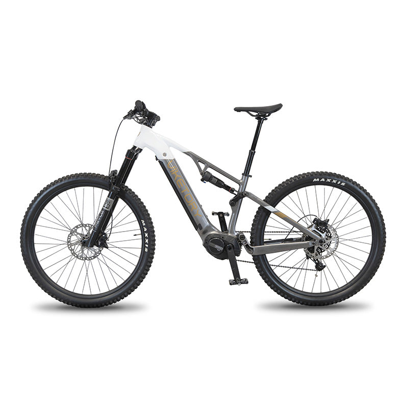 TERRAM ebike MTB Grigio/Bianco