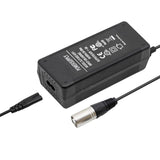36 V charger (42 V) connector 2A