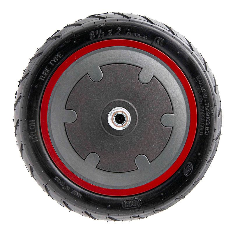Motore 36V 300W 6,1/B34 per Xiaomi [Ewheel] 