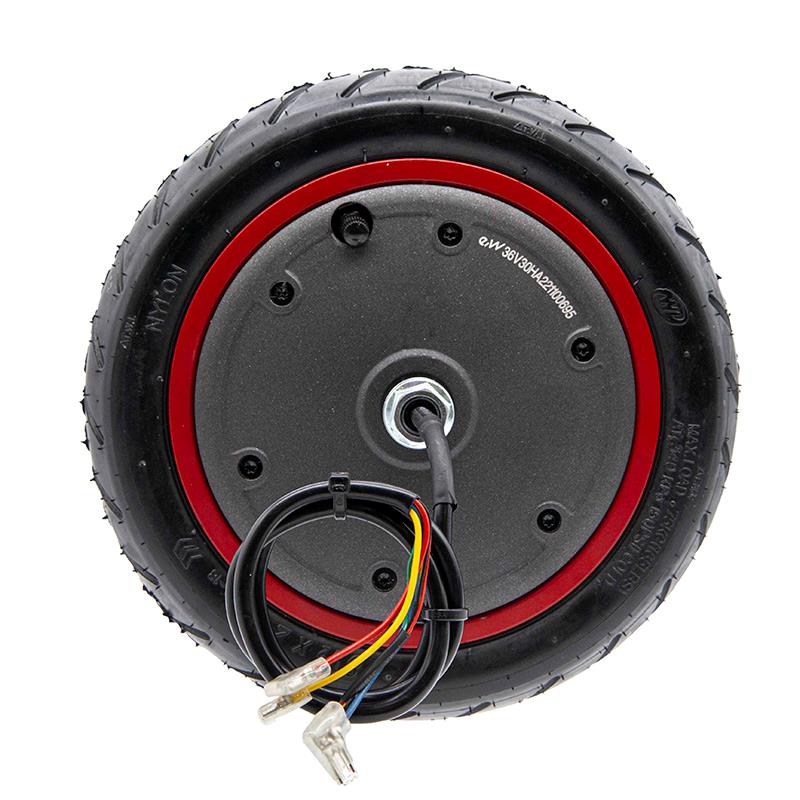Motore 36V 300W 6,1/B34 per Xiaomi [Ewheel] 