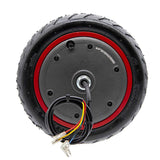 Motore 36V 300W 6,1/B34 per Xiaomi [Ewheel] 