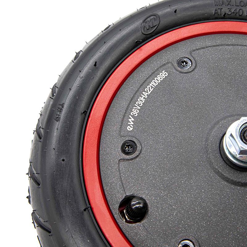Motore 36V 300W 6,1/B34 per Xiaomi [Ewheel] 