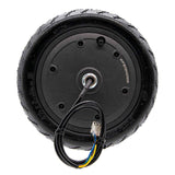 Motore 36V 300W 6,1/B34 per Xiaomi [Ewheel] 