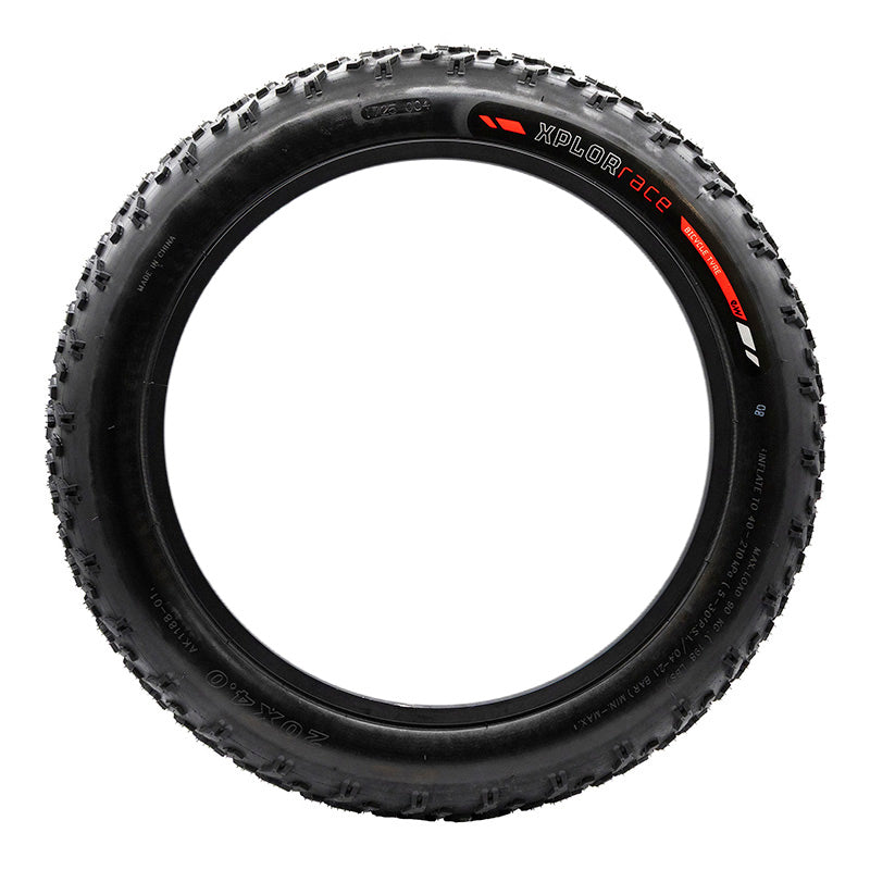 Pneumatico 20x4 Ewheel SPECIAL FAT-BIKE