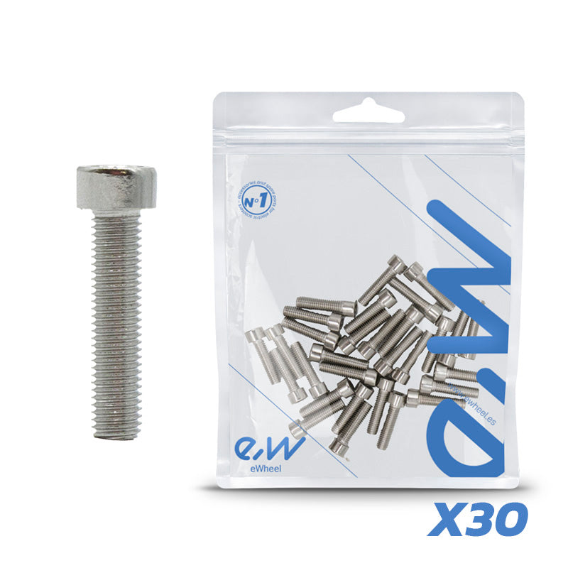 TORNILLO LLANTA DUALTRON MINI 30 UNDS