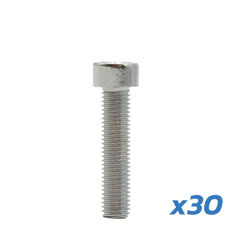 PARAFUSO Jante DUALTRON MINI 30 UNDS 