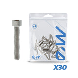 SCREW Rim MOTOR DUALTRON (NOT VALID MINI) 30 PCS 