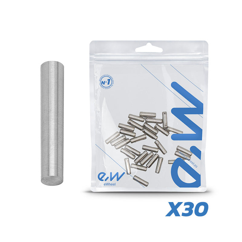 SCHARNIERBOLZEN V1 DUALTRON 30 STK 