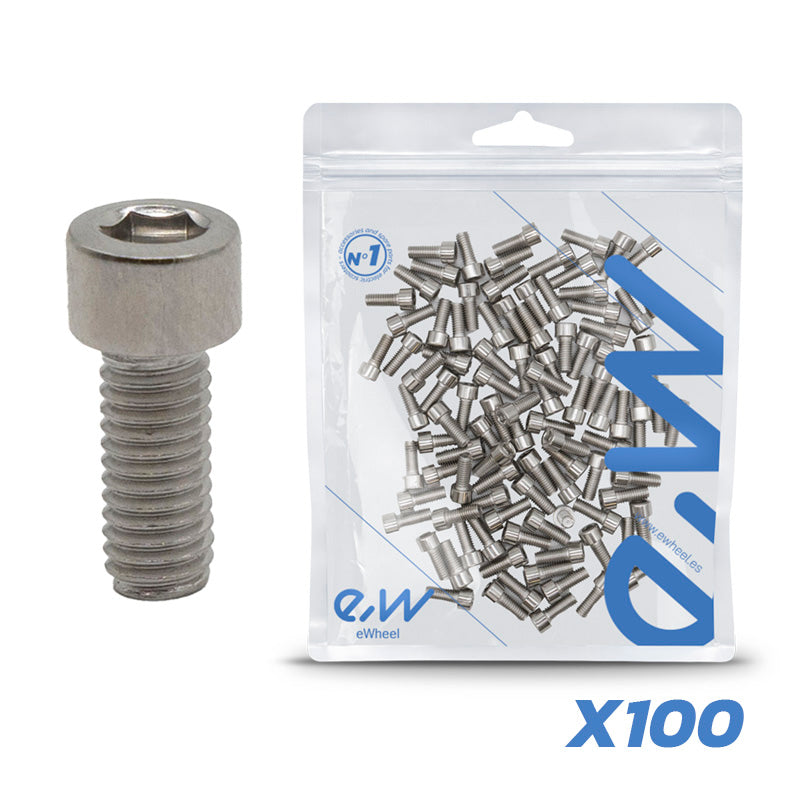 Tornillos guardabarro Dualtron 100 uds
