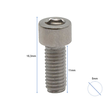 Tornillos guardabarro Dualtron 100 uds