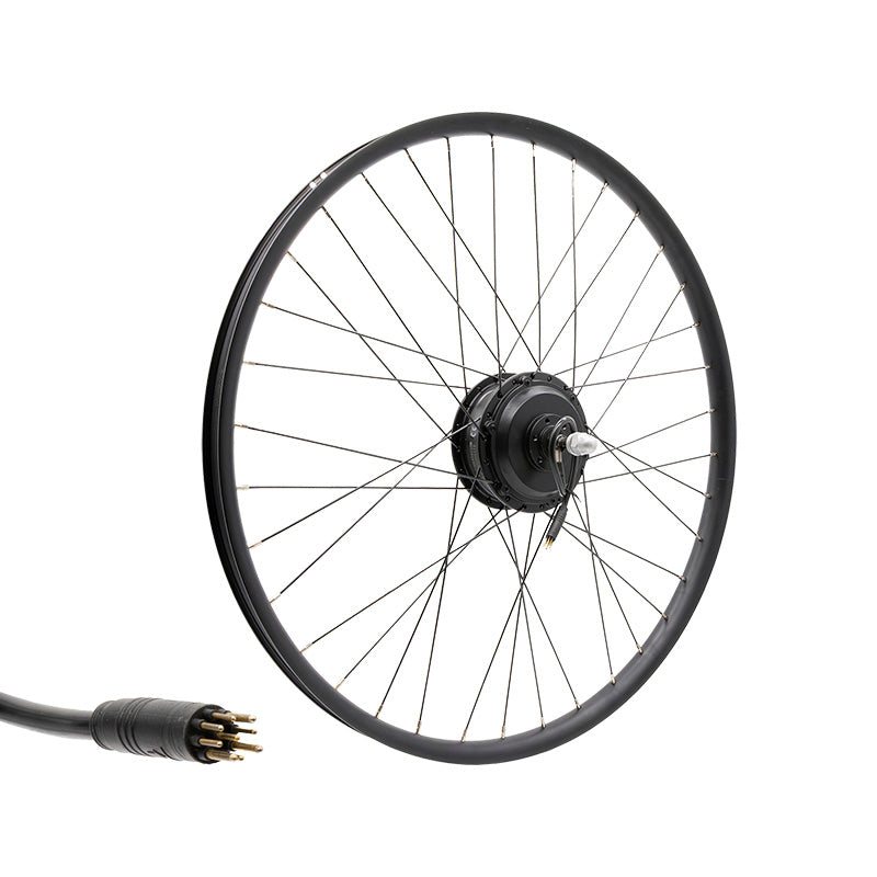 Cerchio posteriore 29x2,4 con motore 250W 42Nm ROKTAR/ZEPHIR