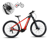 ROKTAR ebike MTB