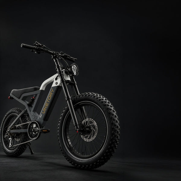 FATBIKE