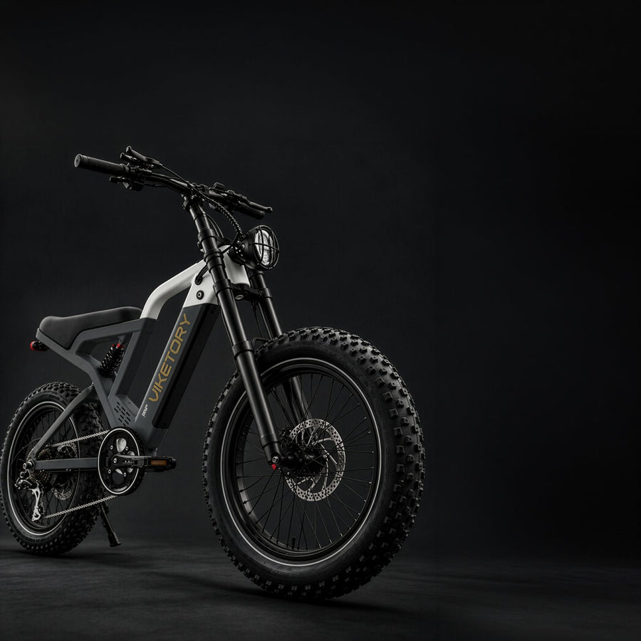 FATBIKE